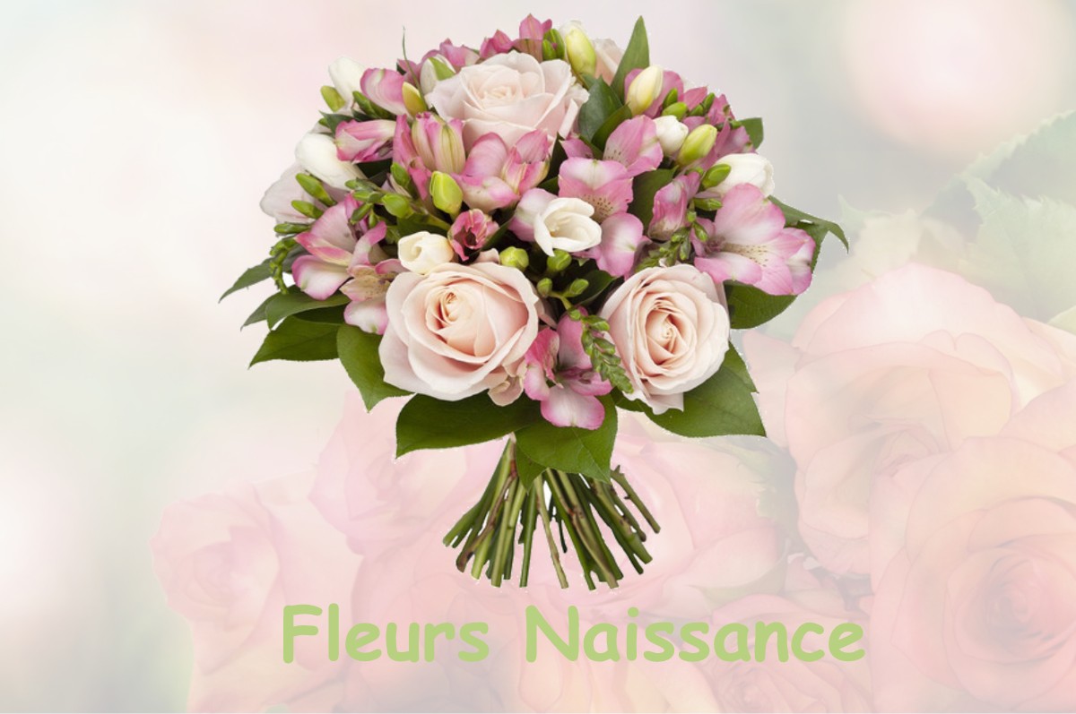 fleurs naissance BISSEY-LA-COTE